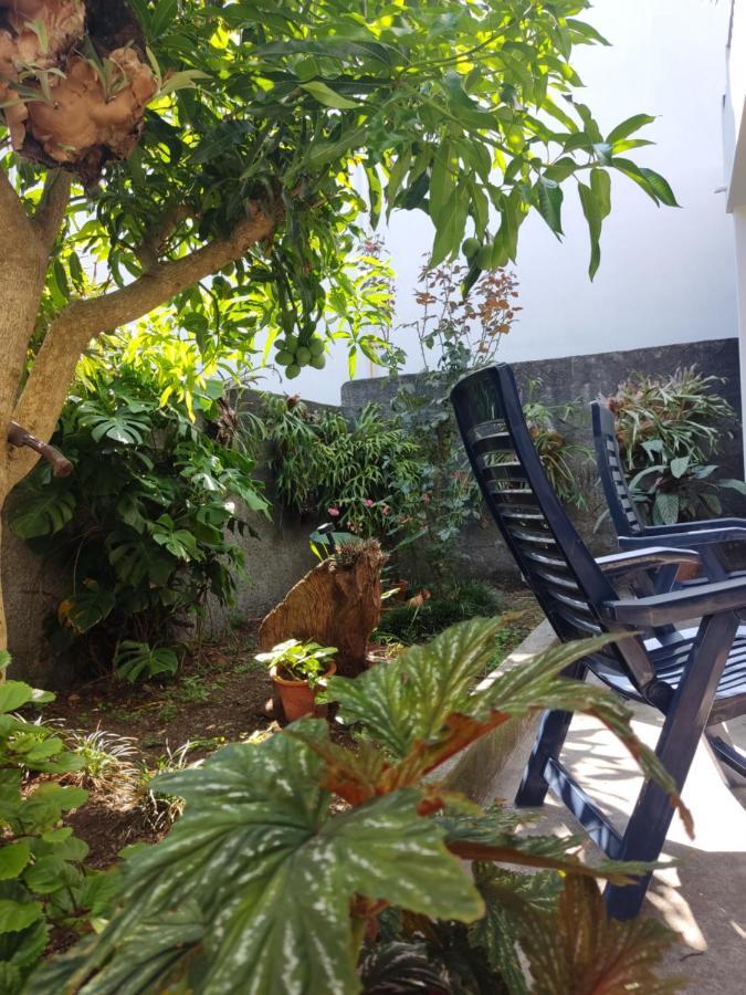 Apartamento Casa Da Avo Rosa São Vicente Exterior foto