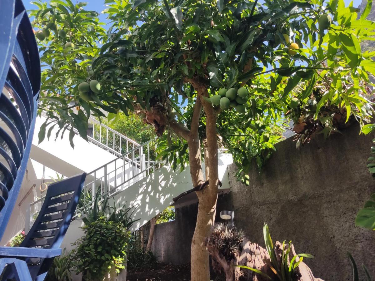 Apartamento Casa Da Avo Rosa São Vicente Exterior foto