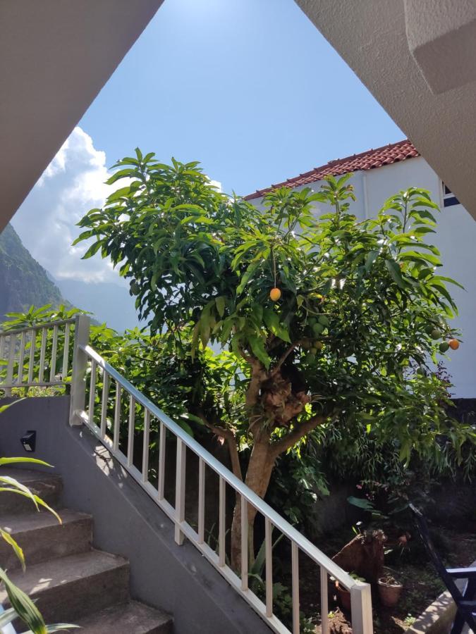 Apartamento Casa Da Avo Rosa São Vicente Exterior foto