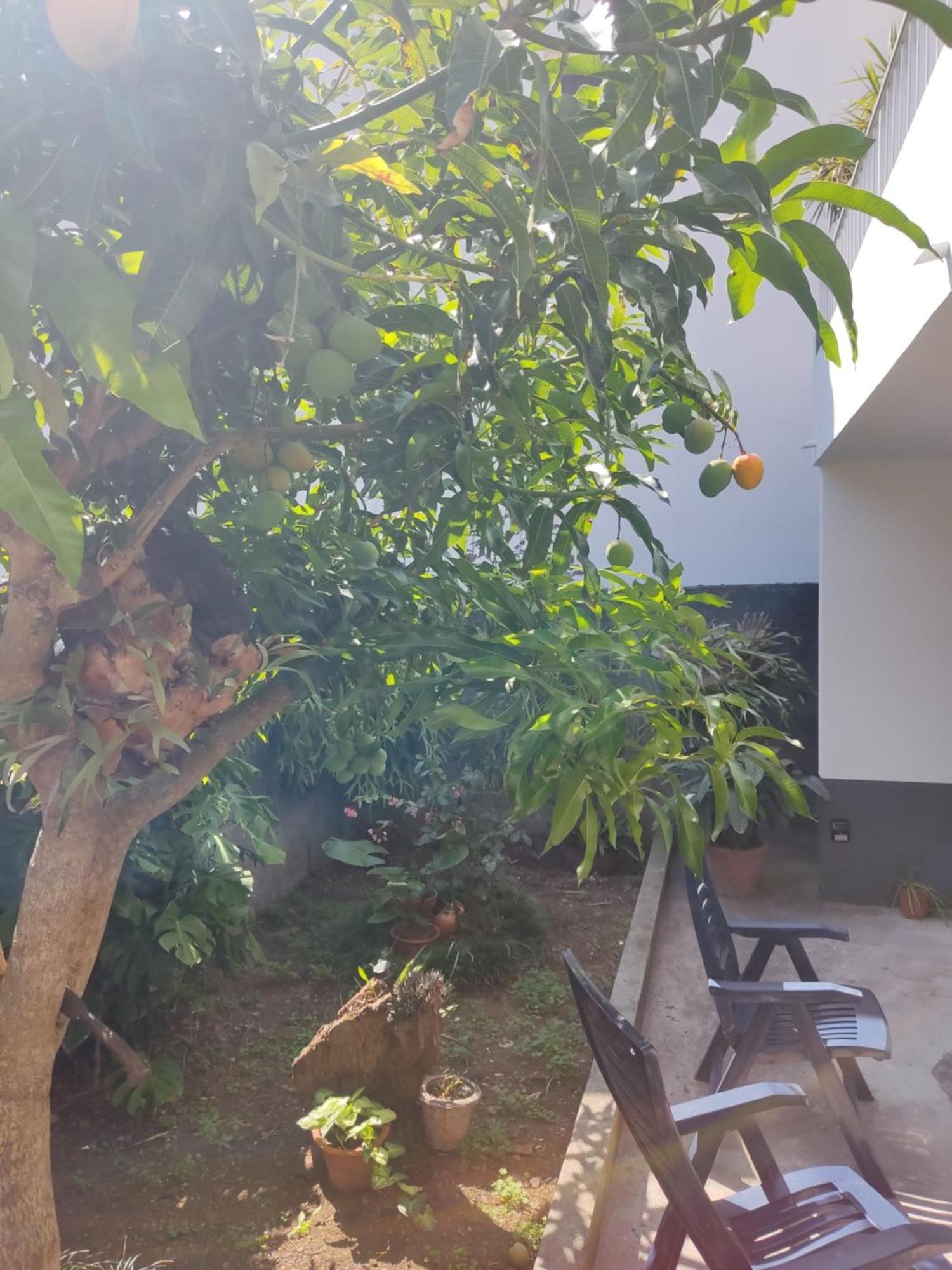 Apartamento Casa Da Avo Rosa São Vicente Exterior foto